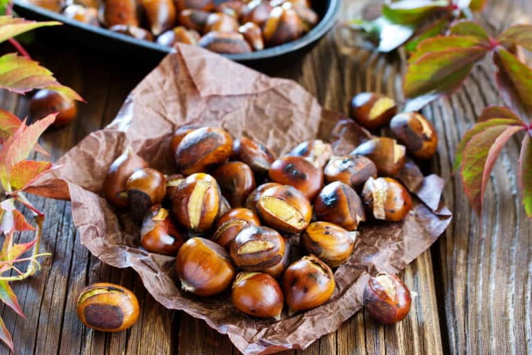 castagne.jpg