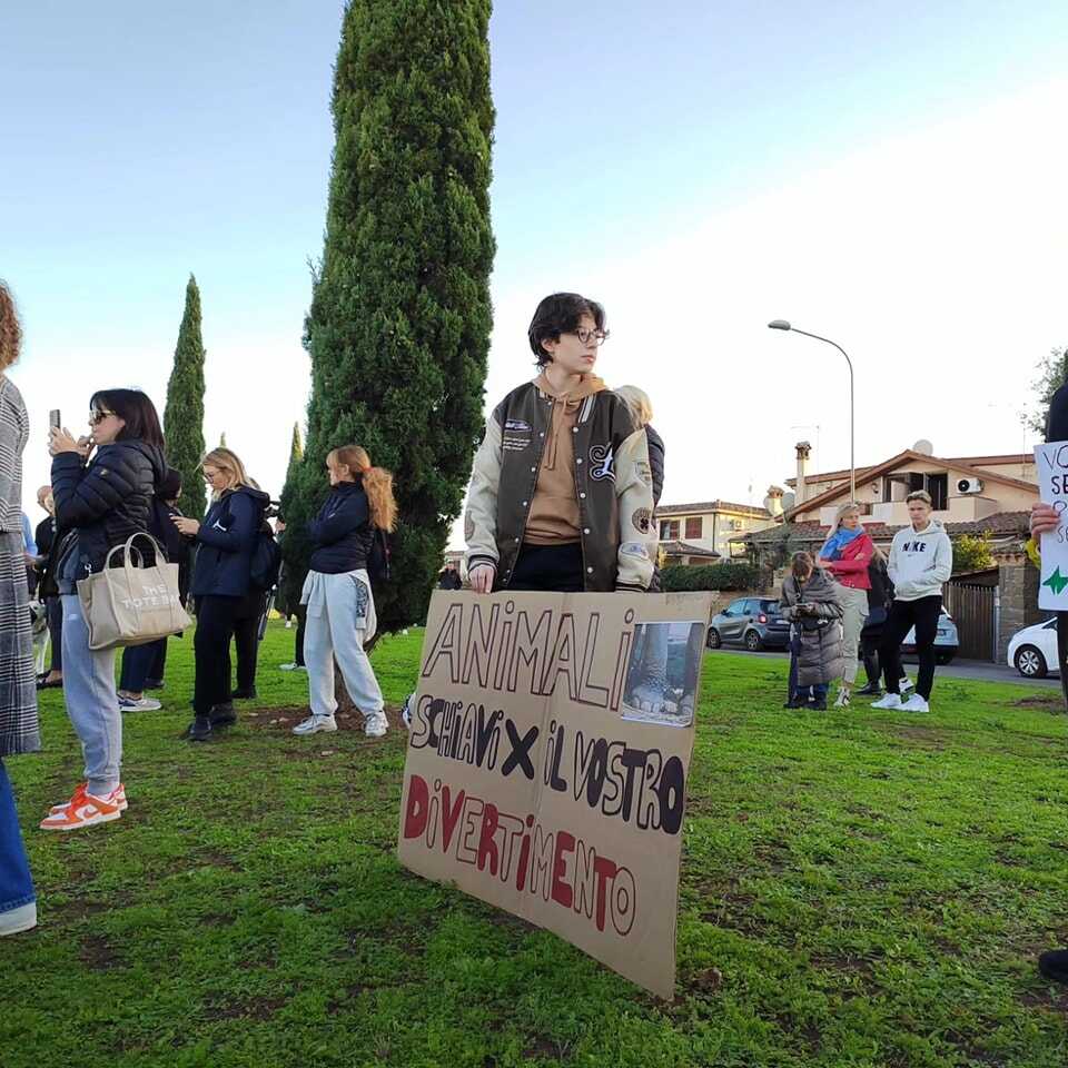 La fuga di Kimba a Ladispoli, Adelante con gli animalisti 1 circo ladispoli protesta animalisti 2.jpg