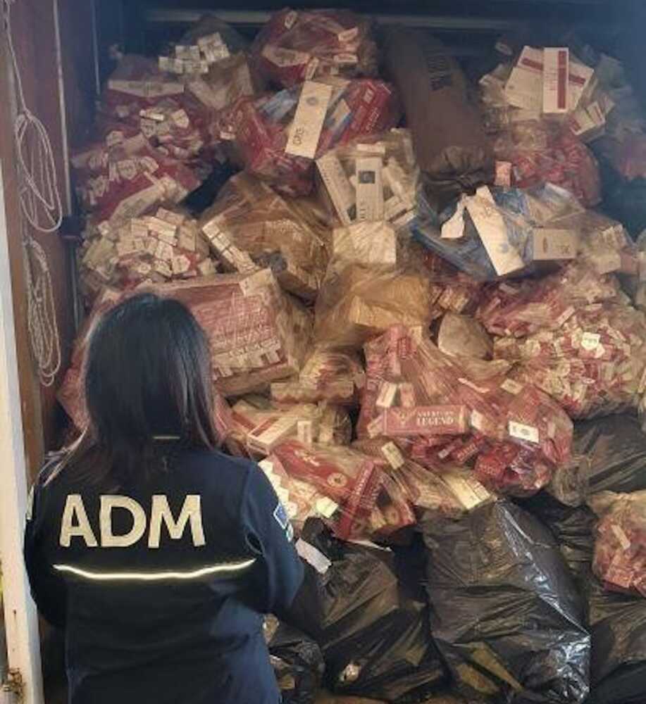 distruzione tabacchi distrutti dogane civitavecchia.jpg