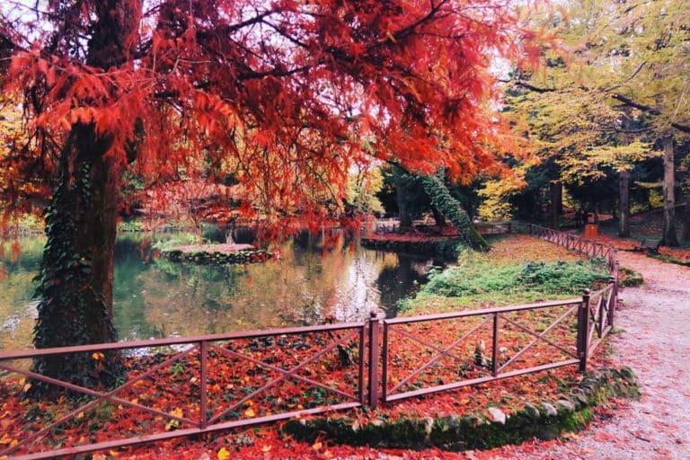 foliage Reggia Monza.jpg