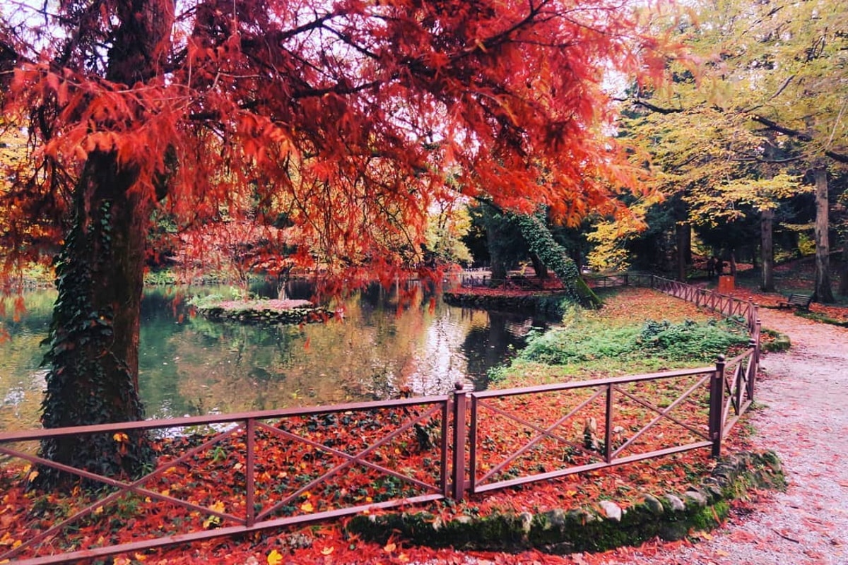 foliage Reggia Monza.jpg