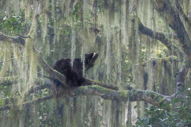 jacquie matechuk nature photographer of the year 2023.jpg