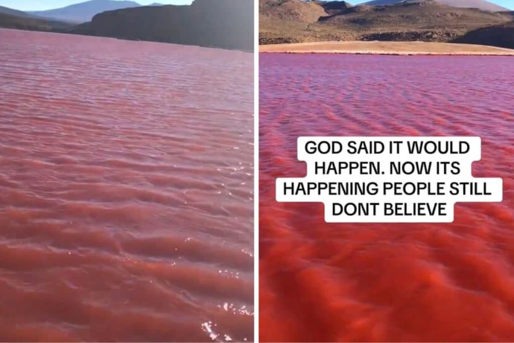 laguna roja.jpg