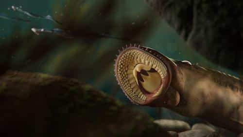 lamprey m.jpg