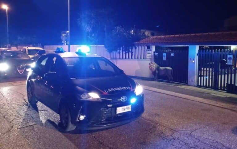 leone kimba carabinieri.jpeg