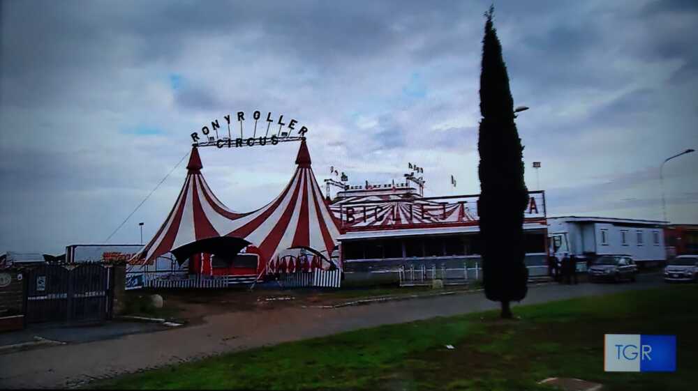 leone ladispoli circo roller 1.jpg
