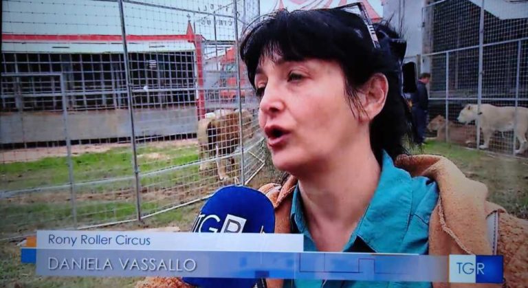 leone ladispoli circo roller daniela vassallo.jpg