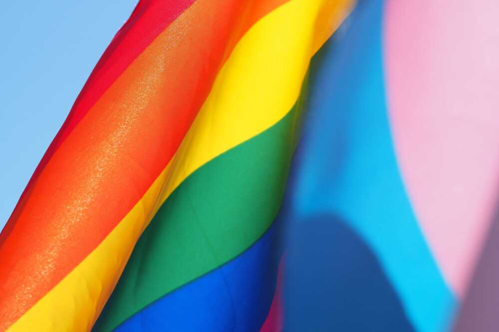 lgbtq cerveteri sportello.jpg