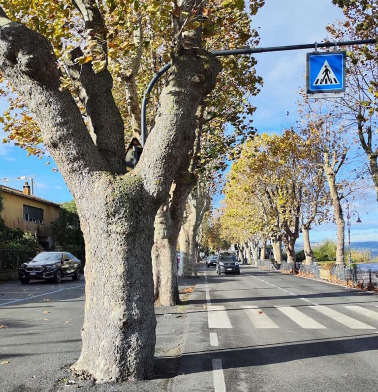lungolago anguillara 11.jpg