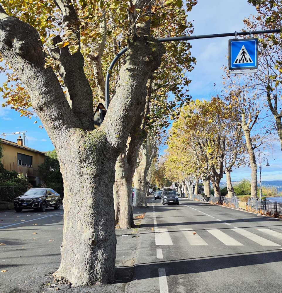 “Anguillara il lunedì perderà il panorama del lungolago” 1 lungolago anguillara 11.jpg