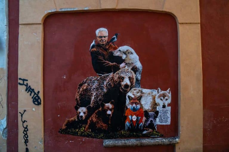 mattarella 1.jpg