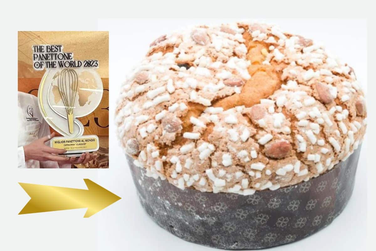 migliore panettone al mondo 2023.jpg