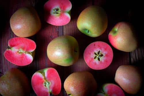 mountain rose red fleshed apples m.jpg