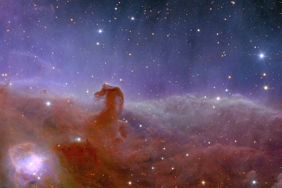 nebulosa testa di cavallo.jpg