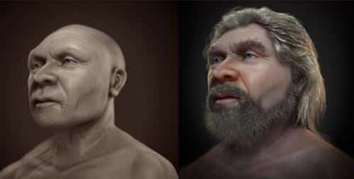 old man neanderthal facial reconstruction m.jpg