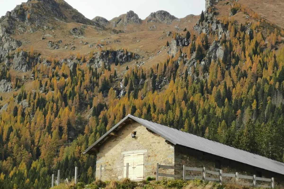 Consulenza per la sostenibilità aziendale: una guida alla responsabilità e all’innovazione 1 ollum consulenze.jpg