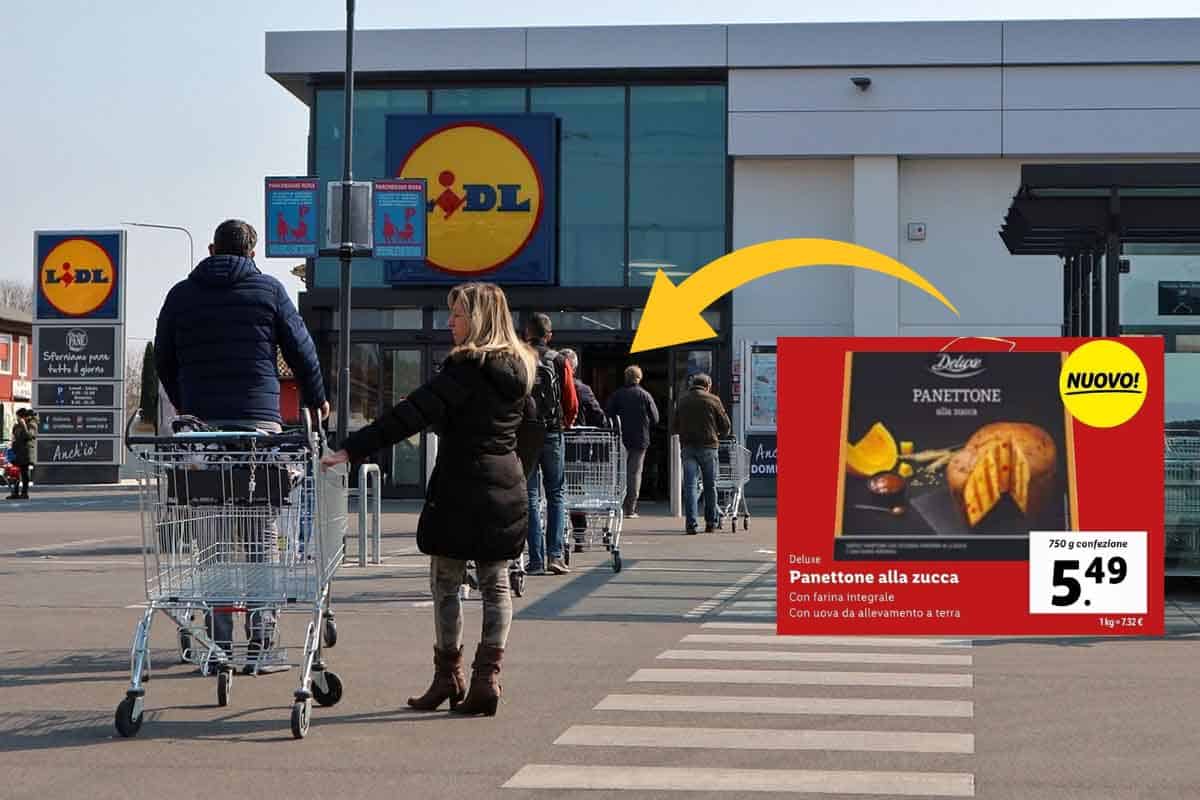 Tutti pazzi per il nuovo panettone alla zucca di Lidl, è andato a ruba 1 panettone lidl zucca.jpg