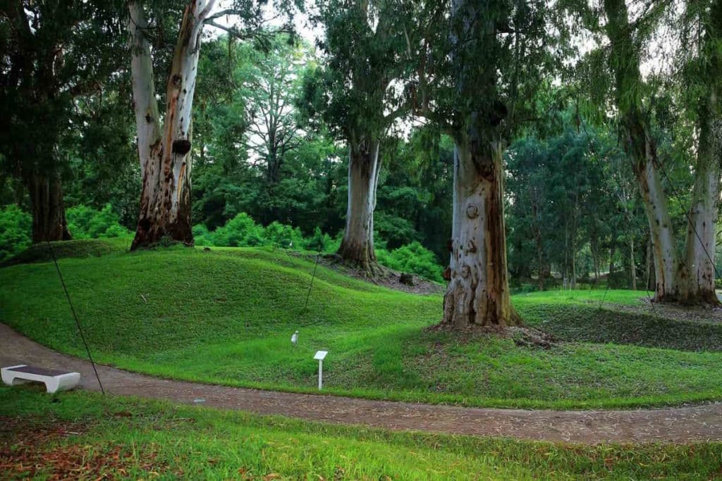 parco.jpg