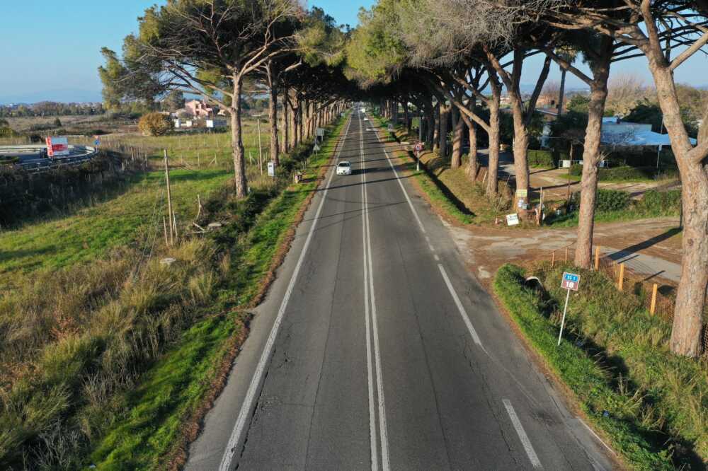 pini aurelia sorpasso ladispoli.jpeg