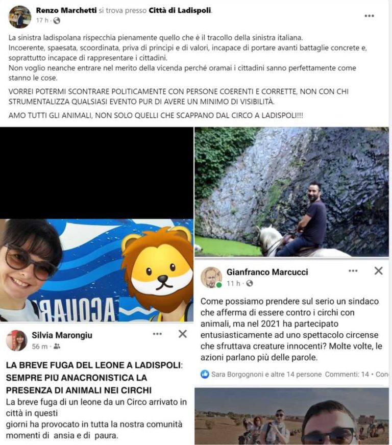 post marchetti.jpg