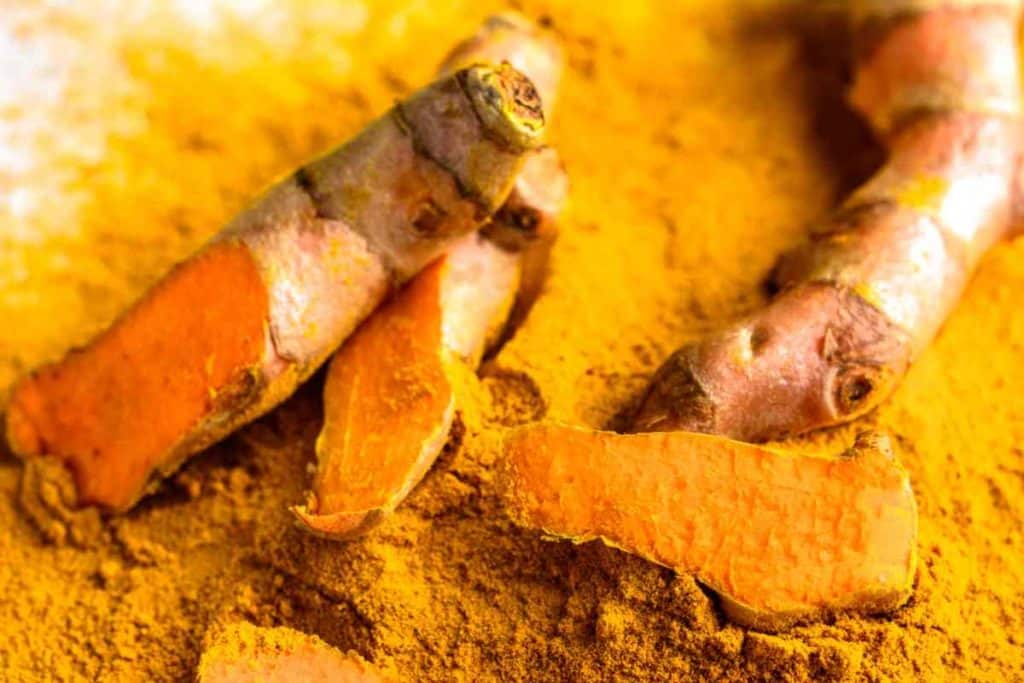 radici curcuma.jpg