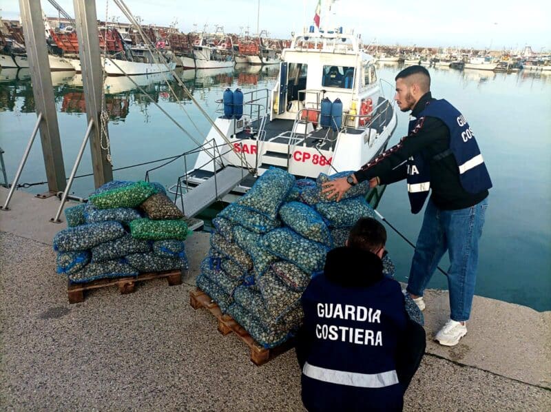 Pescara: la Capitaneria di porto sequestra 230 chili di vongole 1 sequestrovongole e1668240334908.jpg