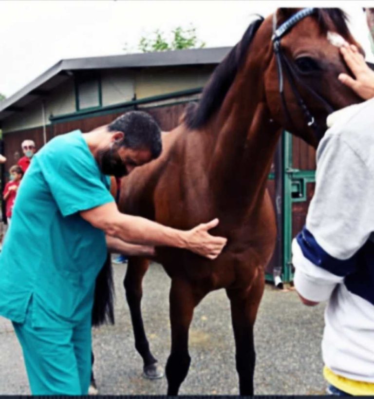 servizio veterinario.jpg