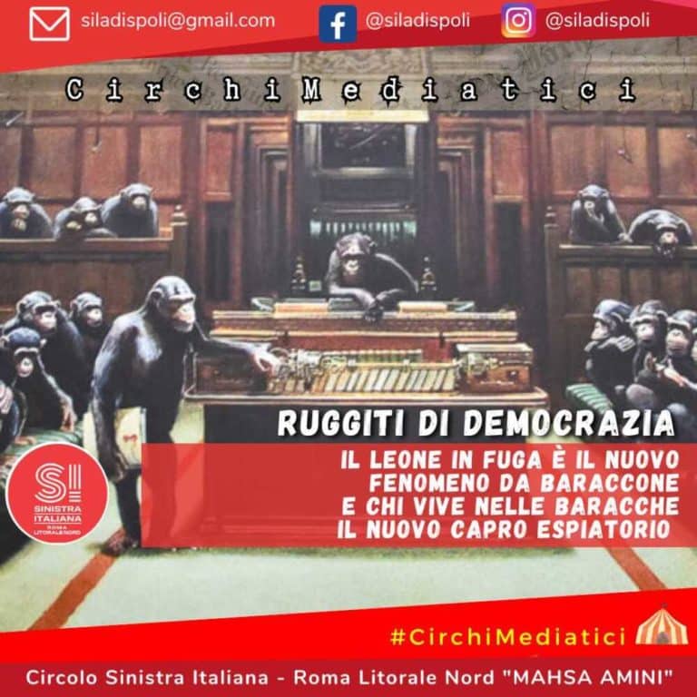 si ladispoli circhi mediatici.jpg