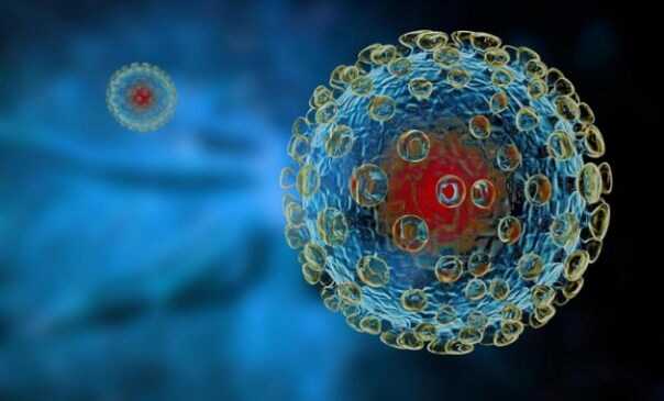 virus respiratorio sinciziale umberto primo.jpg