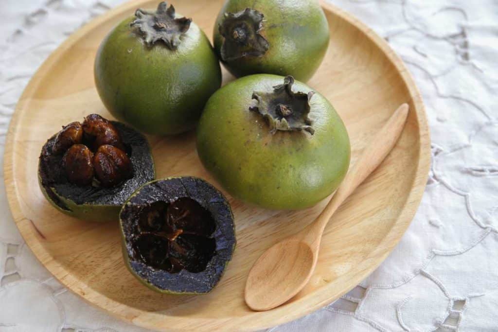 zapote nero.jpg