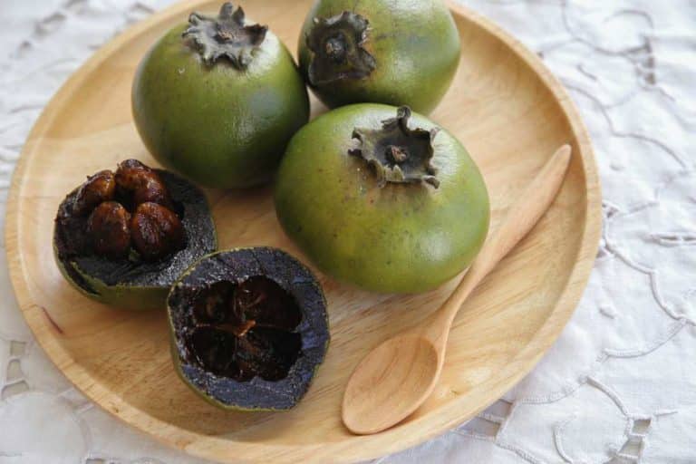 zapote nero.jpg