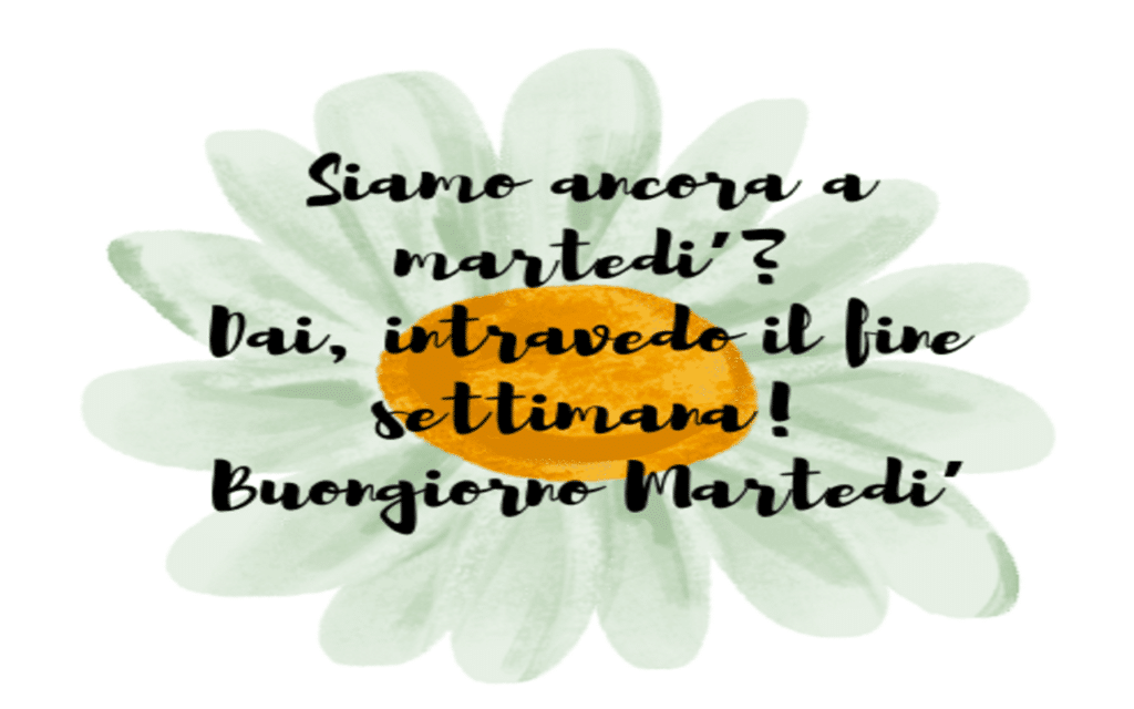 22Le frasi e immagini piu belle 1.png