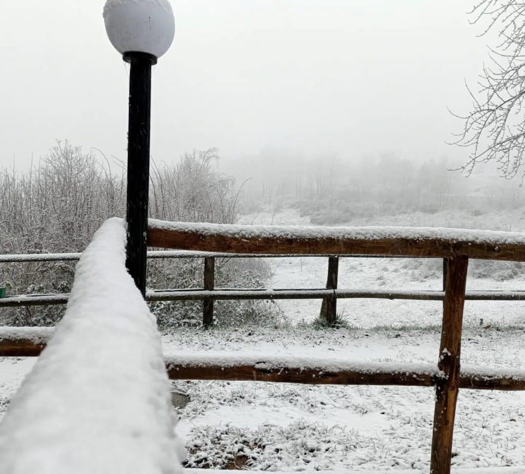 22Neve in Piemonte fiocchi fin.jpg