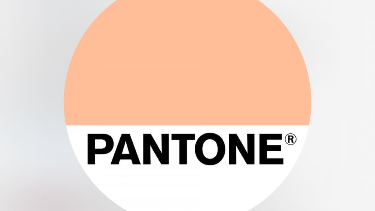 22Pantone 2024 Peach Fuzz il .jpg