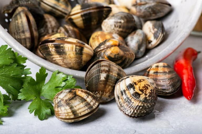 AdobeStock 359157417 1 scaled.jpeg