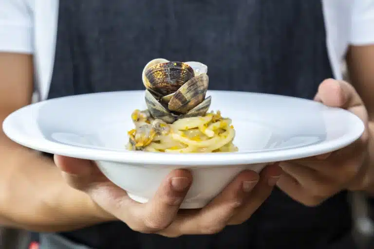 AdobeStock 426271650 1 scaled.jpeg.webp