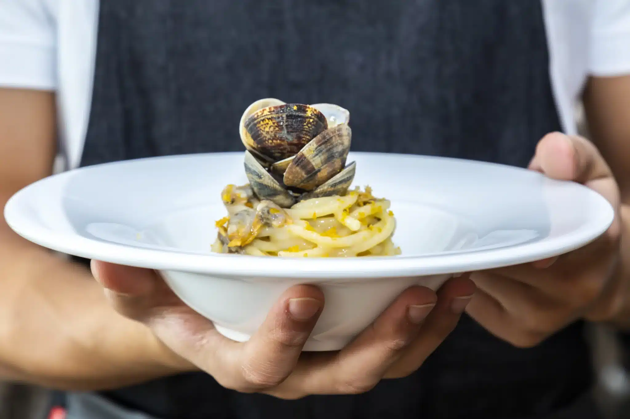 Spaghetti con le vongole, la ricetta insolita di Bruno Barbieri 1 AdobeStock 426271650 1 scaled.jpeg.webp