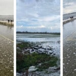 Alluvione in Campania Lago Pa.jpg