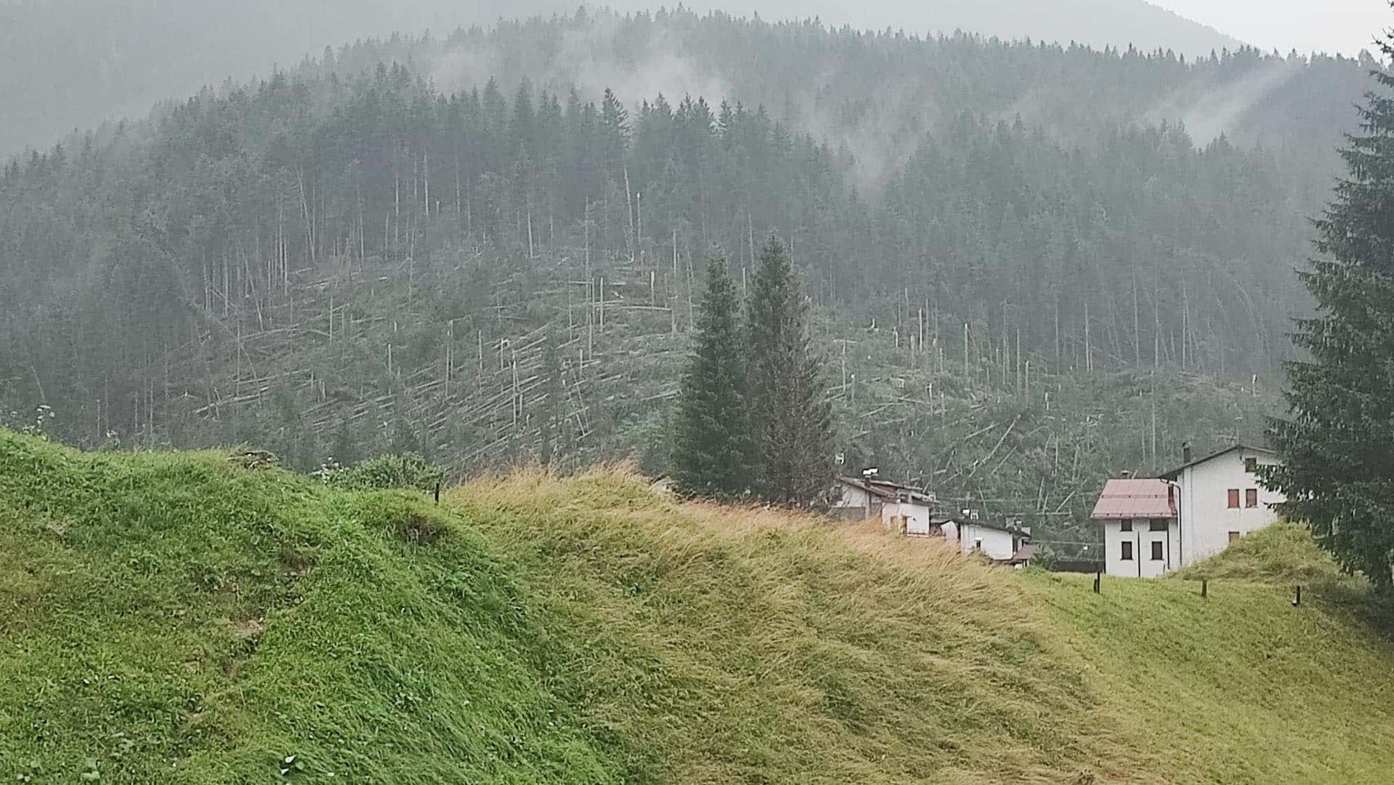 Anno 2023 Belluno caldo e pio.jpg