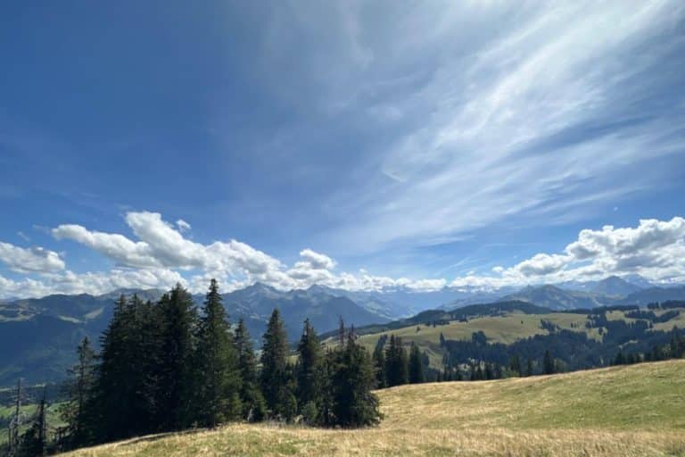 Caldo record in Svizzera Temp.jpg