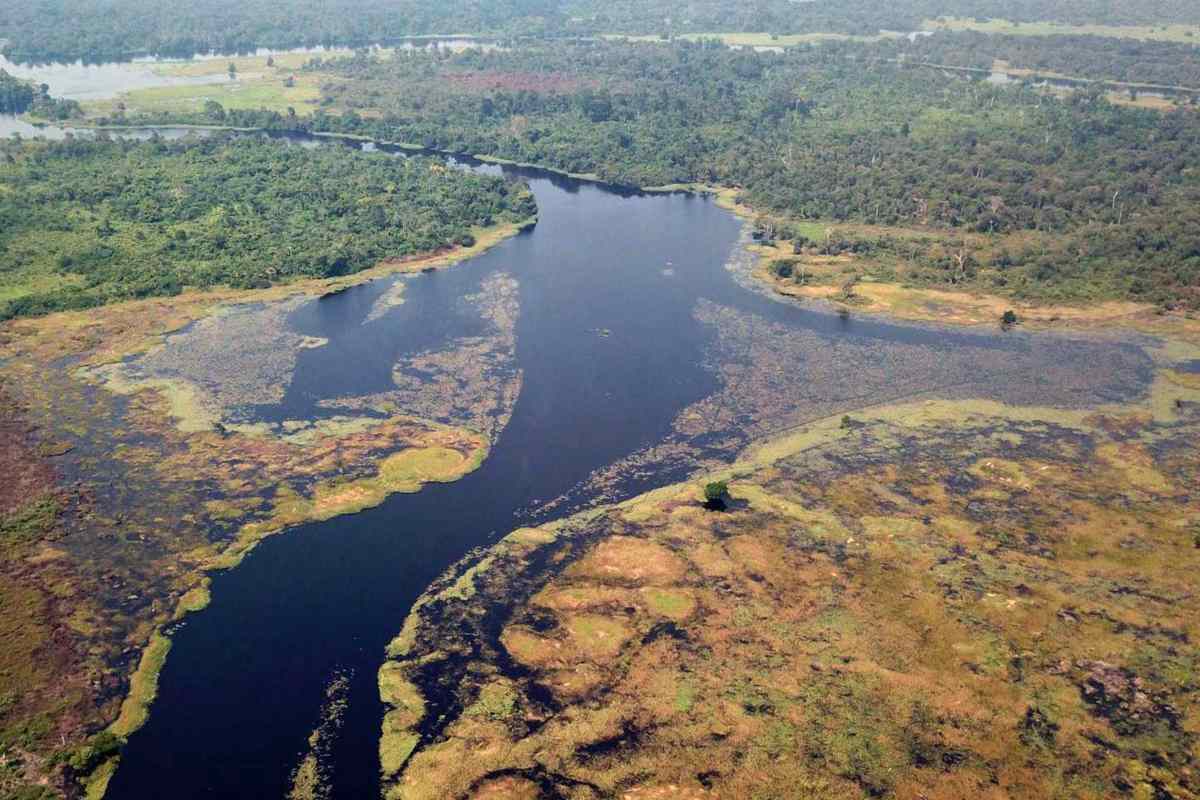 Scoperto il “fiume più scuro del mondo” (e non è il Rio Negro) 1 Fiume piu scuro del mondo.jpg