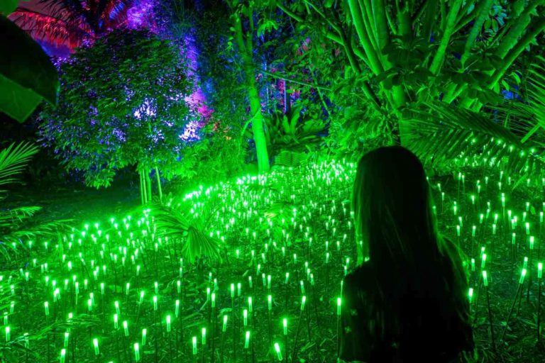 “Lights in Nature – Life”: le luminarie all’Orto botanico illuminano di verde la magia del Natale 1 Lights in nature.jpg