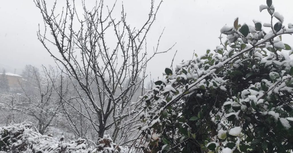 Maltempo Liguria neve a bassa.jpg