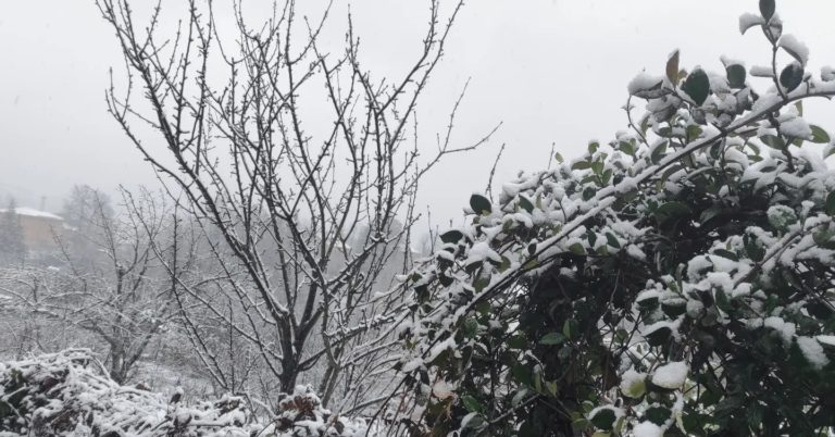 Maltempo Liguria neve a bassa.jpg