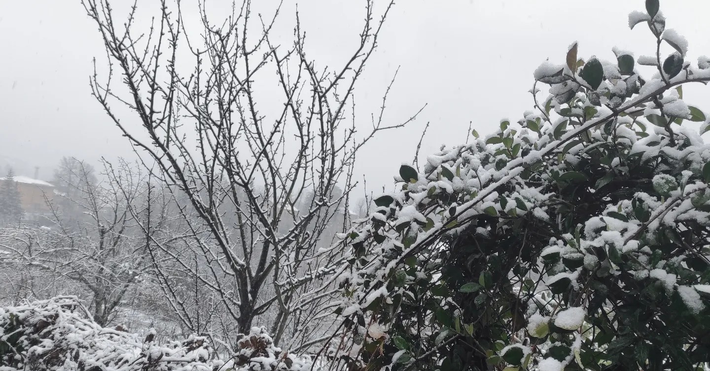 Maltempo Liguria neve a bassa.jpg