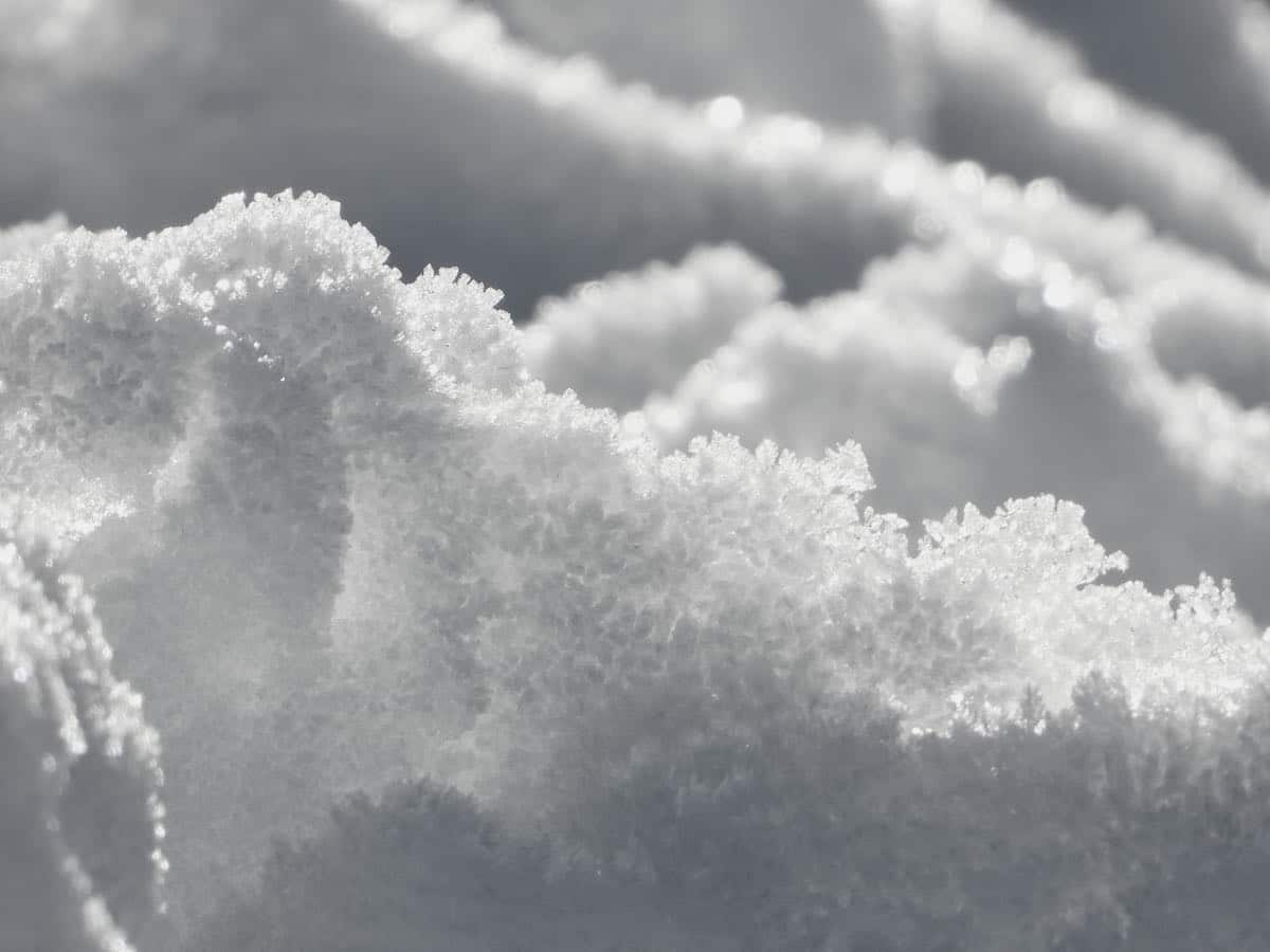 Nevicate deboli probabili nel pomeriggio: previsioni meteo Trentino 1 Nevicate deboli probabili nel .jpg