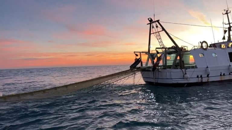 PESCA A STRASCICO.jpg