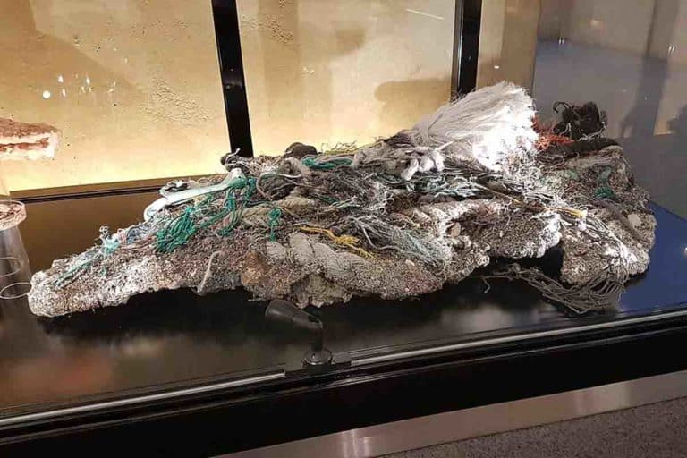 Plastiglomerato.jpg