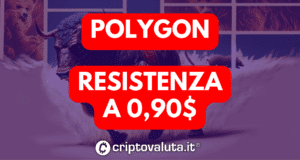 Polygon 300x160.png