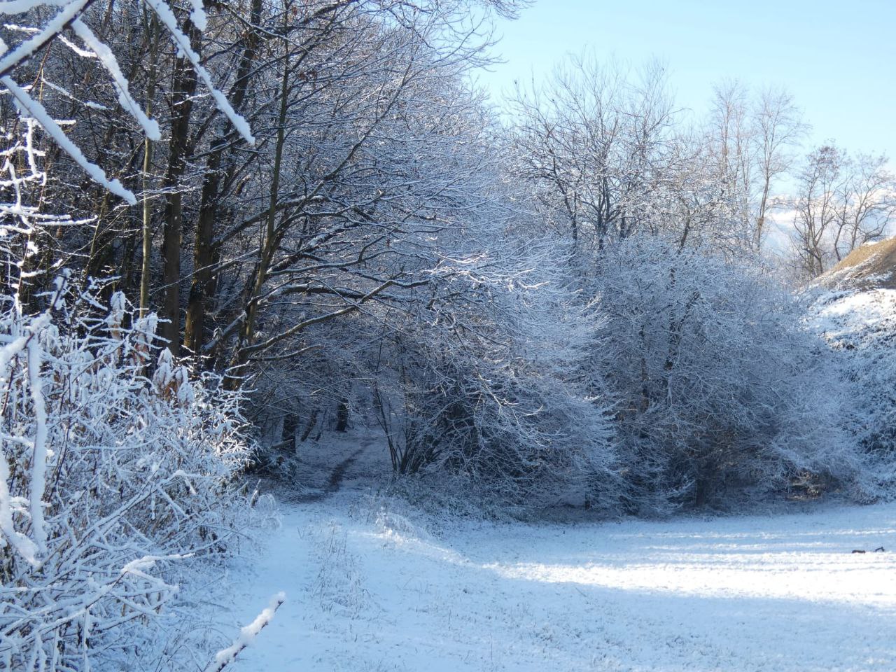 Temperature in Piemonte in pic.jpg